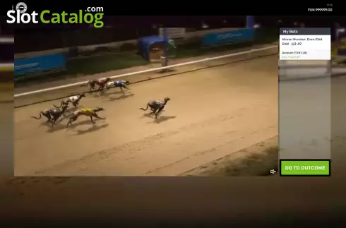 Race screen. Greyhounds Streak slot