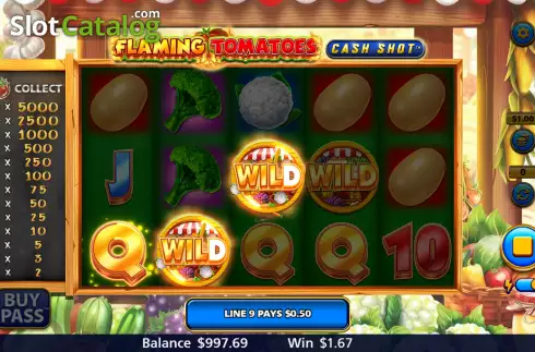 Skärmdump5. Flaming Tomatoes: Cash Shot slot