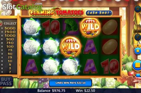 Schermo6. Flaming Tomatoes: Cash Shot slot