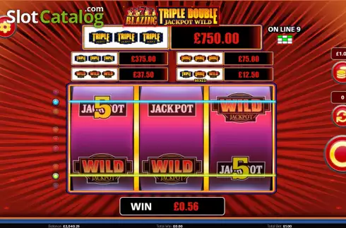 Win Screen 3. Blazing 777 Triple Double Jackpot Wild slot