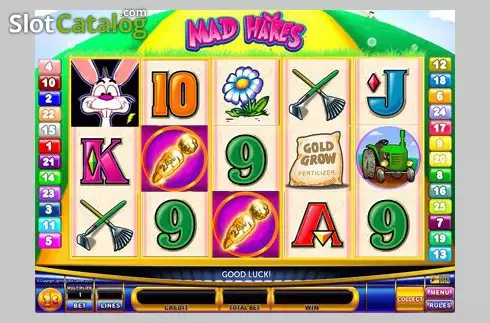 Screen3. Mad Hares slot