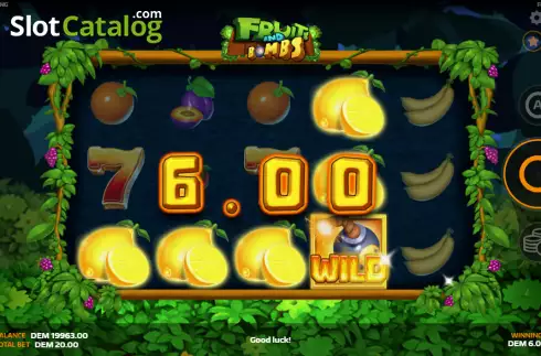 Win screen. Fruits and Bombs slot