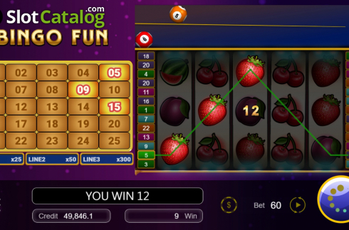 Win Screen 3. Bingo Fun slot