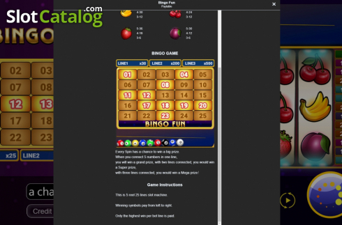 Skärmdump8. Bingo Fun slot