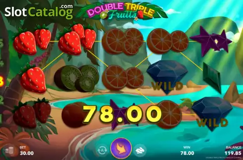 Win screen 1. Double Triple Fruits slot