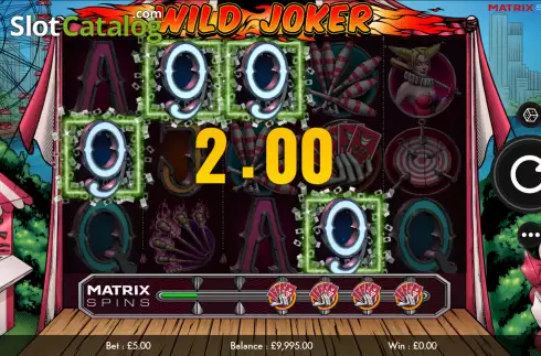 Skärmdump3. Wild Joker slot
