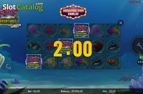 Win screen. Reef Adventures Scratch slot