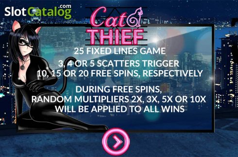 Bildschirm2. Cat Thief slot