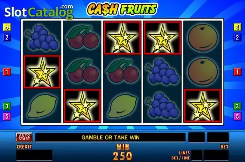 Screen4. Cash Fruits slot
