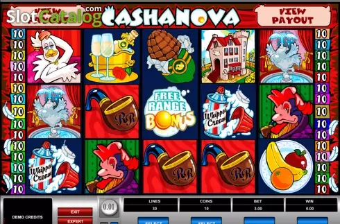 Bildschirm5. Cashanova slot
