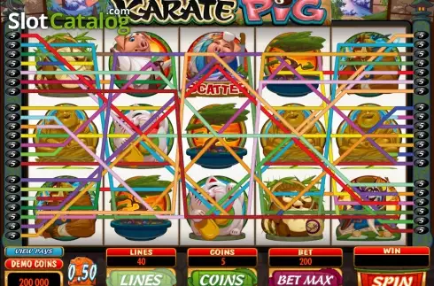 Bildschirm7. Karate Pig slot