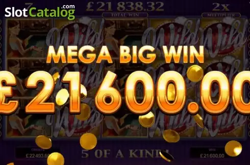 Mega Big Win. Life of Riches slot