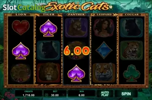 Win Screen 2. Exotic Cats slot