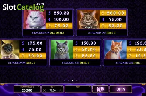 Bildschirm4. Pretty Kitty slot