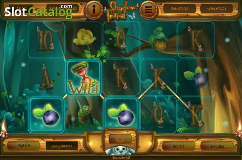 Win screen. Shadow Forest slot