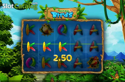 Win Screen. Tropical Birds slot