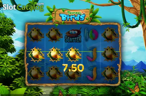 Win Screen 2. Tropical Birds slot