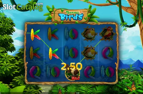 Win Screen 3. Tropical Birds slot
