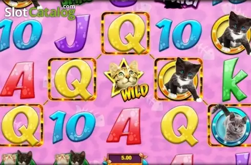 Schermo 7. Meow Money slot