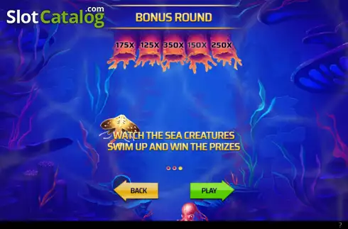 Bonus Game screen. Underwater Treasures slot