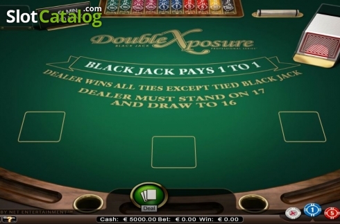 画面2. Double Exposure Blackjack Professional Series カジノスロット