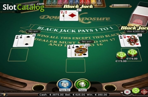 Game Screen. Double Exposure Blackjack Professional Series High Limit slot