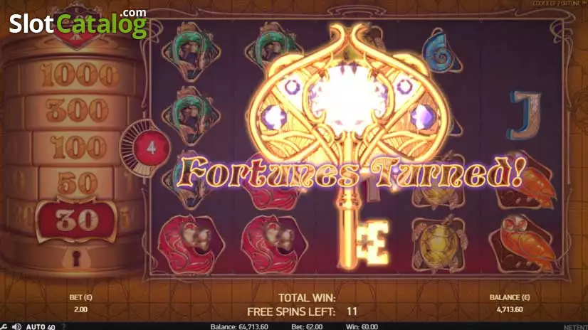 Video Codex of Fortune Slot