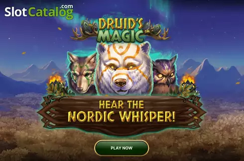 Captura de tela2. Druid’s Magic slot