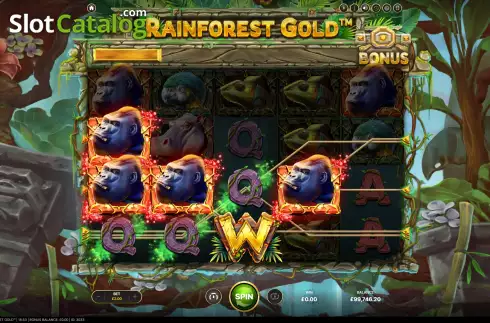 Win Screen 4. Rainforest Gold slot