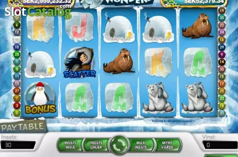 Bildschirm2. Icy Wonders slot
