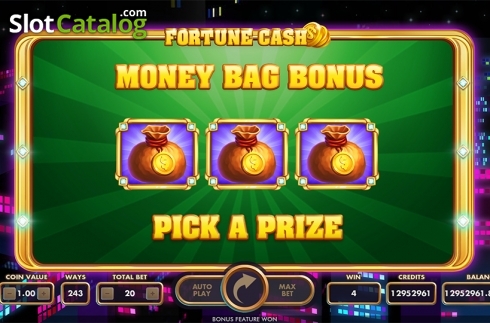 Bonus Game. Fortune Cash slot