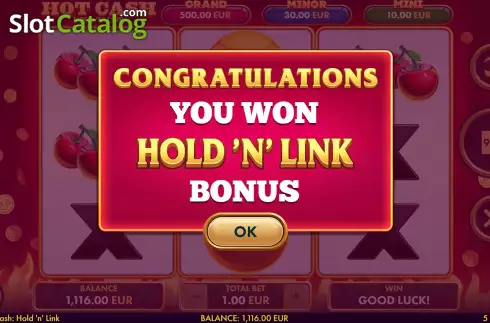 Bonus Game Win Screen. Hot Cash Hold 'n' Link slot