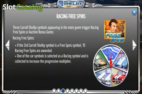 Game Rules 3. Shelby Online Video Slot slot