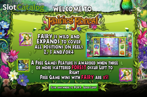 Game features. Fairie's Forest slot