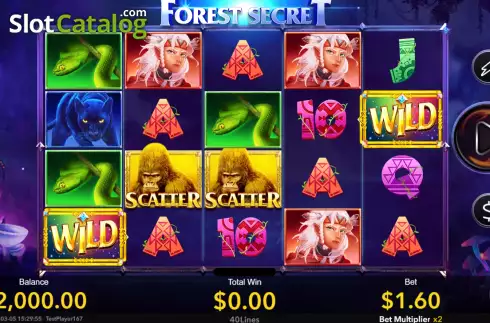 Game screen. Forest Secret slot