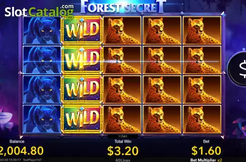 Win screen. Forest Secret slot