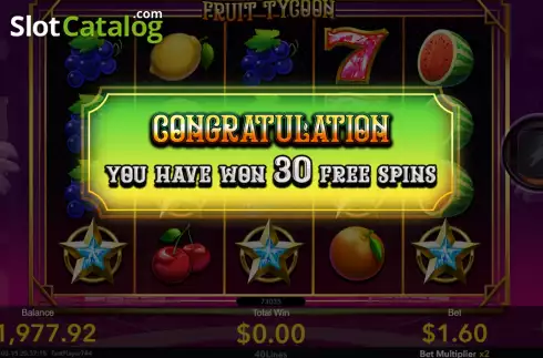 Free Spins screen. Fruit Tycoon slot