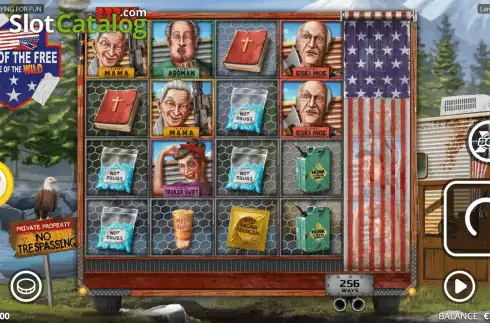 Reels Screen. Land of the Free slot