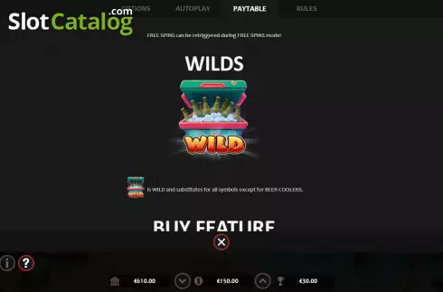 Wilds screen. Party Paradise slot