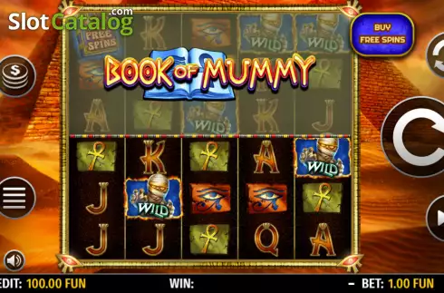 Reels screen. Book of Mummy (Octavian Gaming) slot