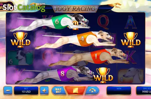 Random Wilds Feature Screen. Iggy Racing slot