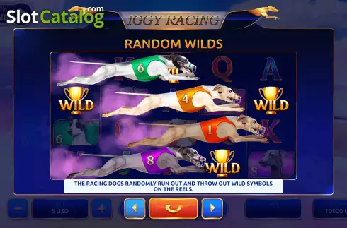 Feature Screen. Iggy Racing slot