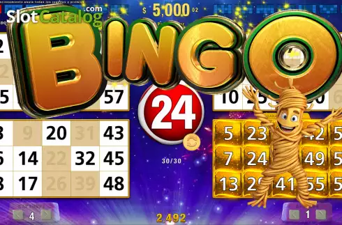 Bingo Win screen. Roma Bingo slot