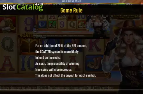 Game Features screen. Wild West Angel slot