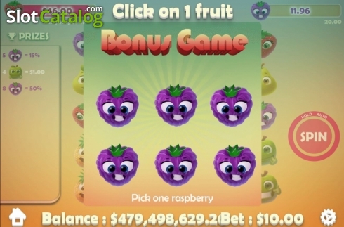 Bonus Game. Frutti Friends slot