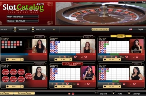 Game Screen. Roulette Live Casino (Vivogaming) slot
