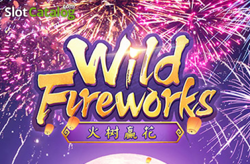Wild Fireworks логотип