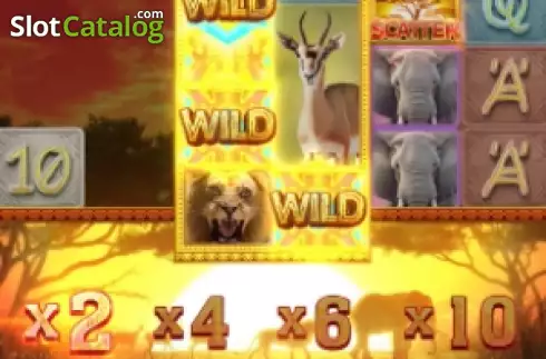 Ecran7. Safari Wilds slot