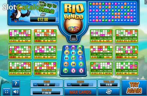 Win Screen. Rio Bingo slot