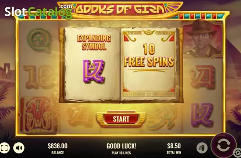 Free Spins Win Screen 2. Books of Giza slot